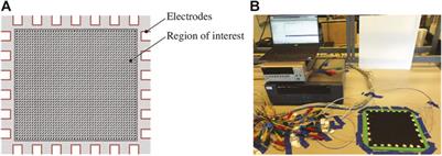 Pressure Mapping Using Nanocomposite-Enhanced Foam and Machine Learning
